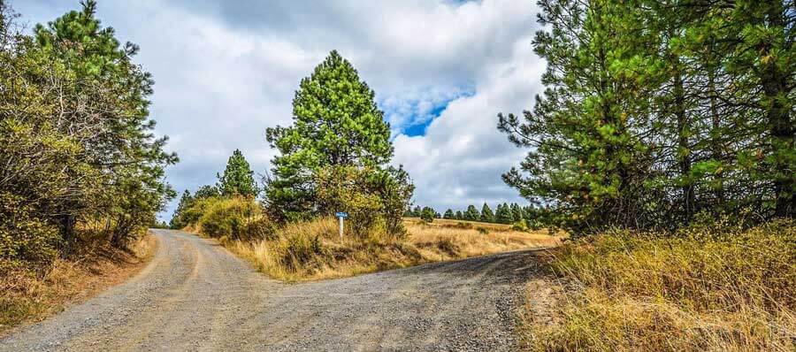 A rural road with a fork in it